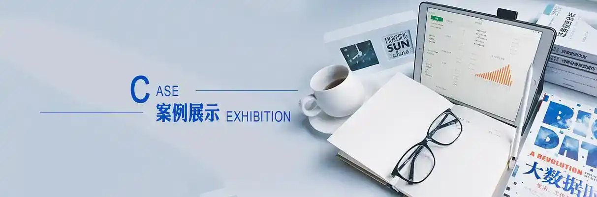 融水苗族自治县软件开发
